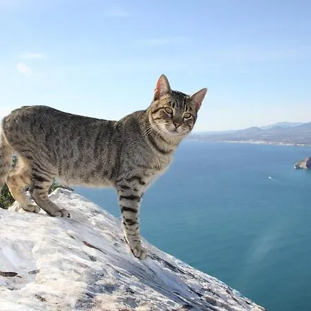 Appartement Capri - Plusholidays *